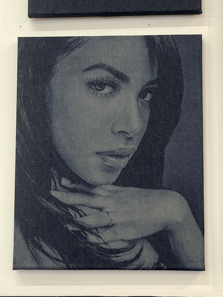 Aaliyah Denim (21 x 26)