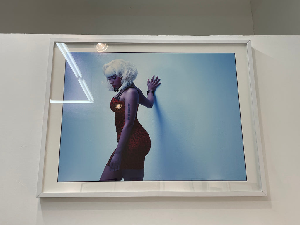 Nicki Minaj (30 x 40 in)