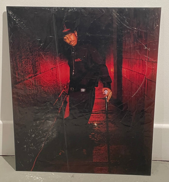 Ludacris (20 x 24 in)