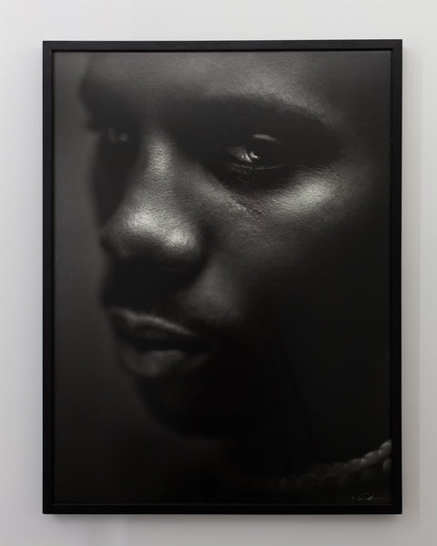 DMX - Framed Print