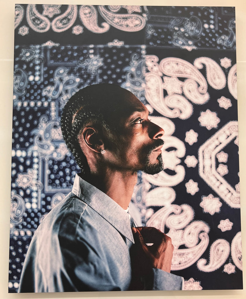 Snoop Dogg-Paisley (24 x 30  in)