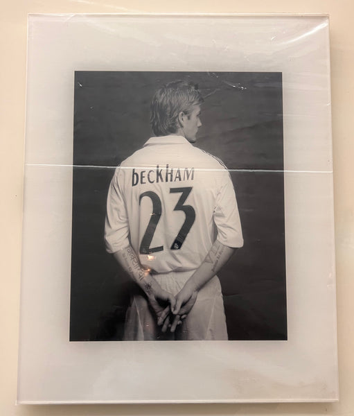 David Beckham (16 x 20 in)