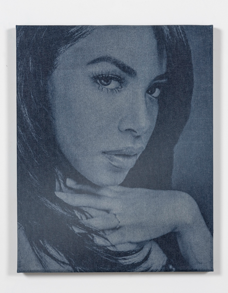 Aaliyah Denim (21 x 26)