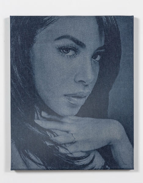 Aaliyah Denim (21 x 26)