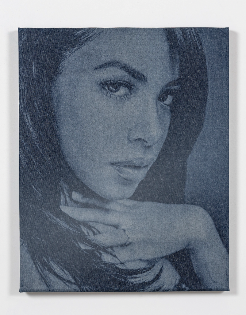 Aaliyah Denim (21 x 26)