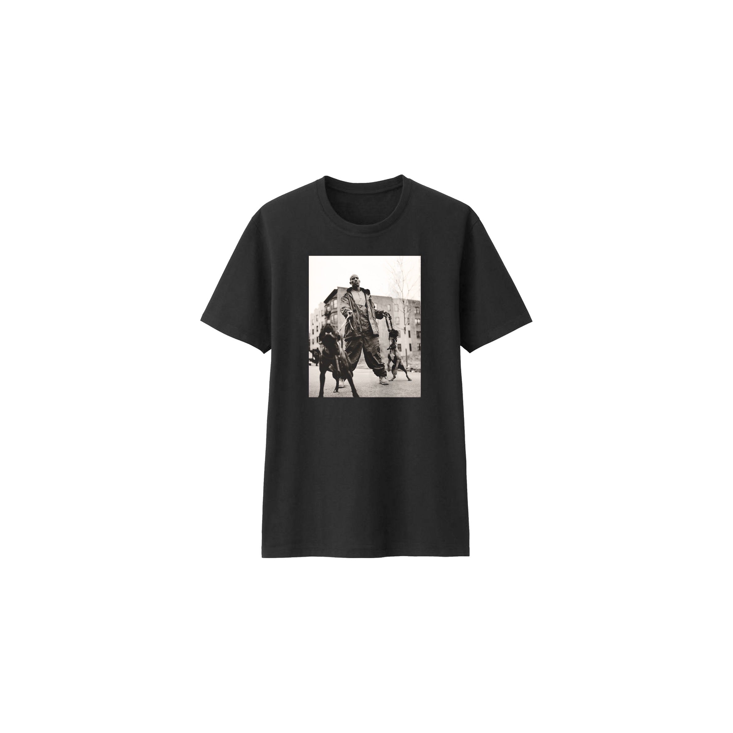 We In Here (A Cappella) - DMX: Song Lyrics, Music Videos \u0026 Concerts, image size:2376x2376